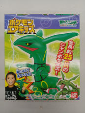 ポケットモンスターアドバンスジェネレーション|BANDAI