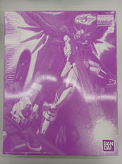 機動戦士ガンダムSEED DESTINY ASTRAYR|BANDAI