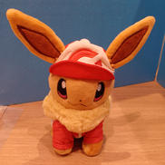 ポケットモンスター|ポケモン