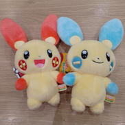 ポケットモンスター|ポケモン