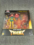 MARVEL LEGENDS SERIES|HASBRO