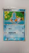 ミズゴロウ|株式会社ポケモン