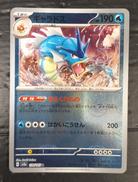 ポケモンカードゲーム|株式会社ポケモン