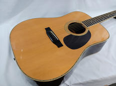 アコースティックギター|MORRIS