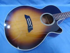 エレアコ|TAKAMINE