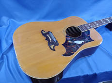 アコースティックギター|TOMSON