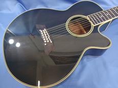 エレアコ|TAKAMINE