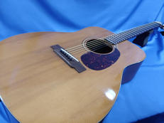 アコースティックギター|YAMAHA