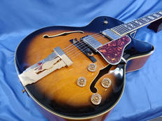 フルアコ|ARIA PROⅡ