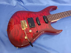 エレキギター|FERNANDES