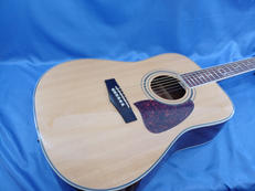 アコースティックギター|IBANEZ