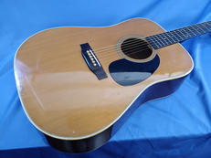 アコースティックギター|MORRIS