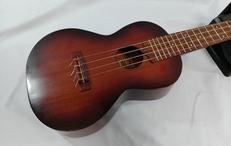 コンサートウクレレ|LUNA