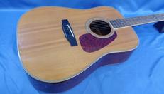 アコースティックギター|MORRIS