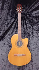 エレガット|ORVILLE BY GIBSON