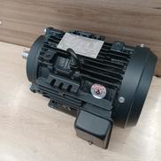 プレミアムゴールドモートル|TOSHIBA