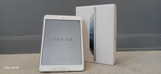 IPAD MINI|APPLE