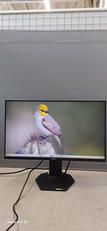 ゲーミングモニター|DELL