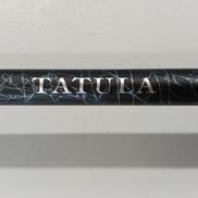 バスロッド|DAIWA