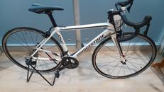 ロードバイク|BRIDISTONE