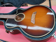 TAKAMINE/PT106|TAKAMINE