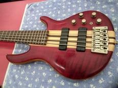 CORT/A5 PLUS FMMH|CORT