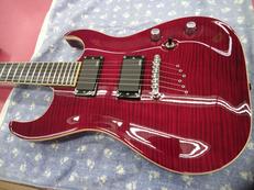 WASHBURN/X-50PROFE|WASHBURN