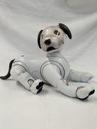AIBO|SONY