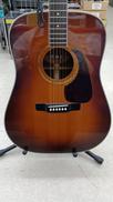 アコースティックギター|MORRIS