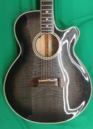 エレアコ|TAKAMINE