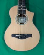 アコースティックギター|IBANEZ