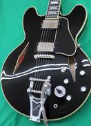 セミアコ|EPIPHONE