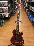 その他ボディタイプ|ARIA PRO2