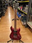 その他ボディタイプ|FERNANDES