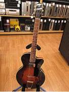 その他ボディタイプ|STRINGPHONIC