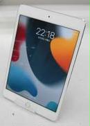 iPad mini4|APPLE