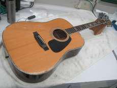 MORRIS アコースティックギター|MORRIS