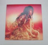 中島美嘉　火の鳥　レコード|Sony Music Records