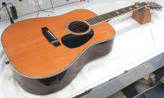 アコースティックギター|MORRIS