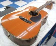 アコースティックギター|MORRIS