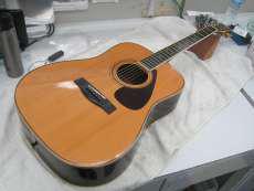 YAMAHA アコースティックギター|YAMAHA