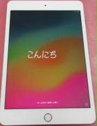 IPAD MINI(第五世代)　256GB|APPLE