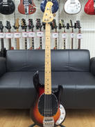 STINGRAY EX|MUSICMAN