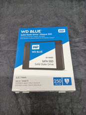 SSD|WD
