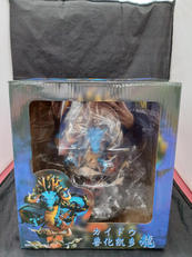 ワンピース|不明