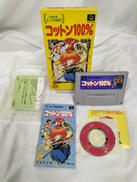 SFCソフト|データム・ポリスター