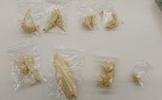 1/144 ジュノーン ODK ラストタイプ2989 ガレー|WAVE