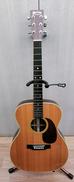アコースティックギター|MARTIN