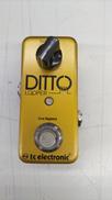 ルーパー　DITTO GOLD LIMITED|TC ELECTRONIC