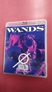 WANDS LIVE TOUR 2024 ～BOLD～(BL|B ZONE